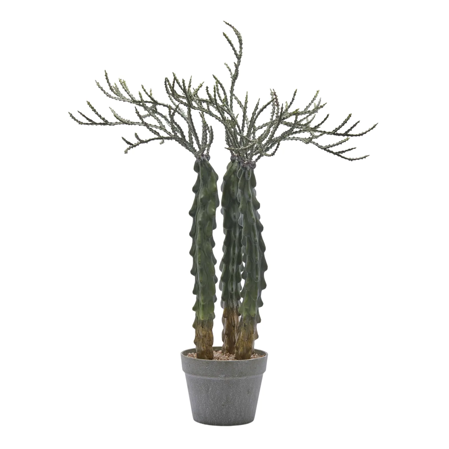 Edg Kunstpflanze Kakuts im Topf H: 80 cm | Schubiger Möbel
