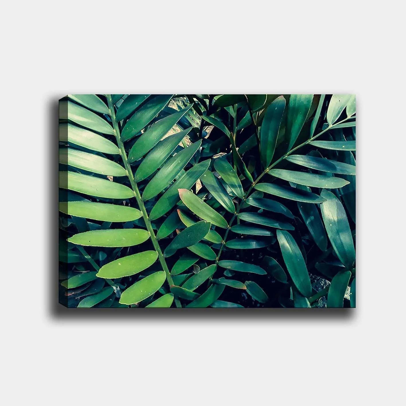 Canvastavla 70x100 cm - Tätt sammanvävda gröna växtblad som skapar en frodig och livfull känsla - Mörkgrön / Ljusgrön