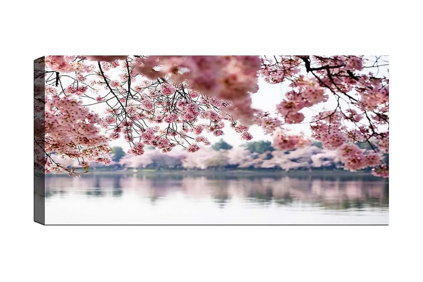 Canvastavla YTY Floral & Botanical Flerfärgad - 120x50 cm