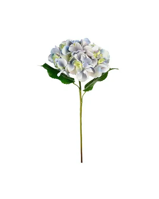 Hortensia snitblomst blå