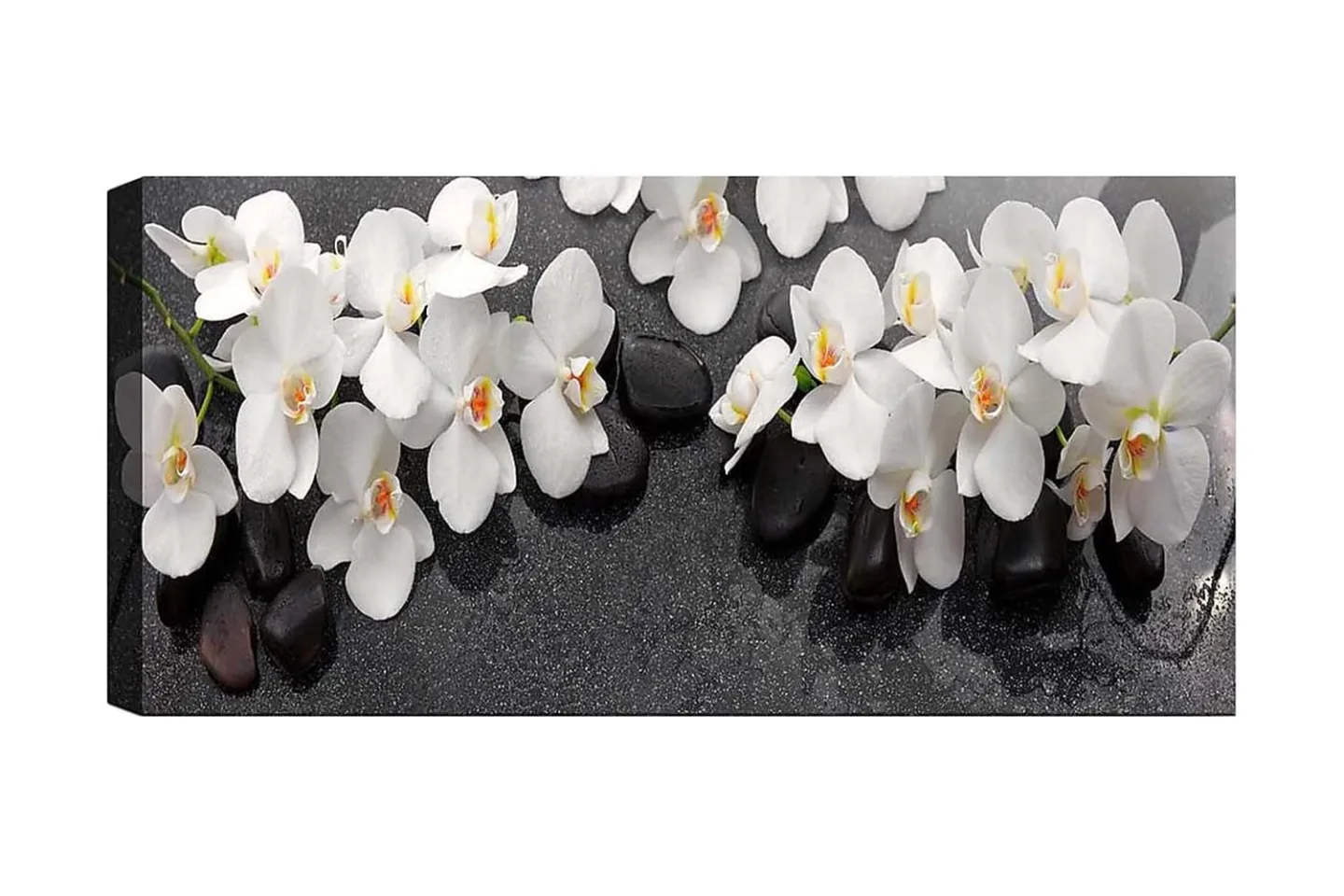 Canvastavla YTY Floral & Botanical Flerfärgad - 120x50 cm