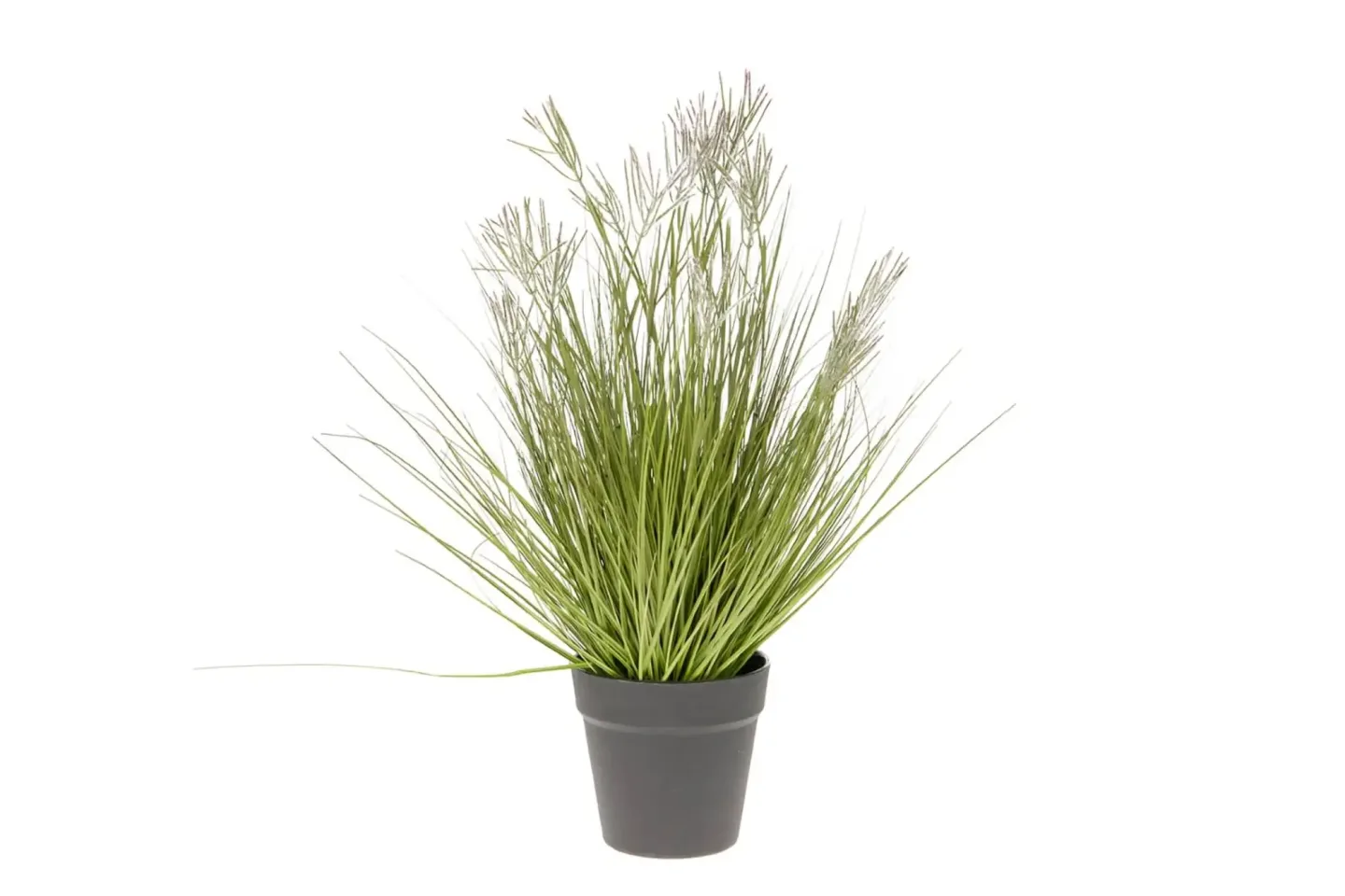 Decofinder Kunstpflanzen Nadelgras im Topf H: 54 cm | Schubiger Möbel
