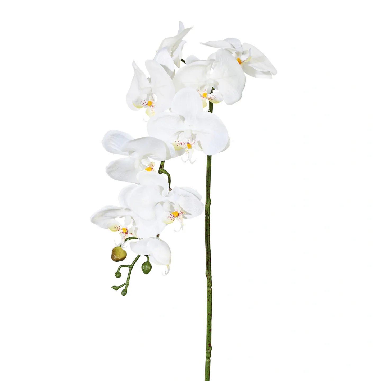 Gasper Kunstblume Orchidee, Creme | Schubiger Möbel