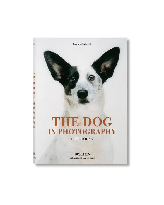 The Dog in Photography