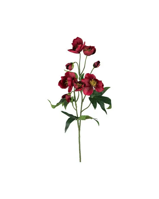 Julerose afskåret blomst rød