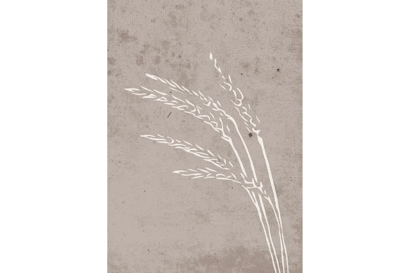Poster Seeds 50x70 cm - Beige