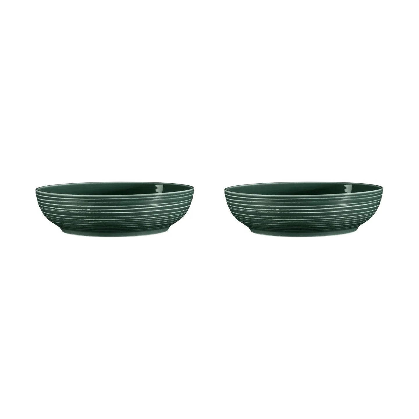 Seltmann Weiden Terra Schale Ø25,5cm 2er Pack Moss Green