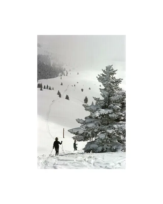Skiing in Vail