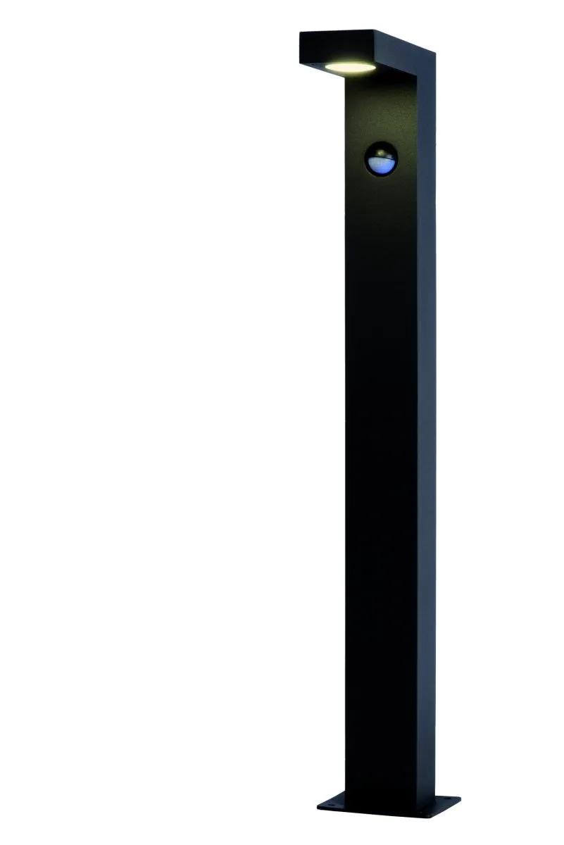 Lucide - Texas-Ir 60cm - Pollare - Antracit