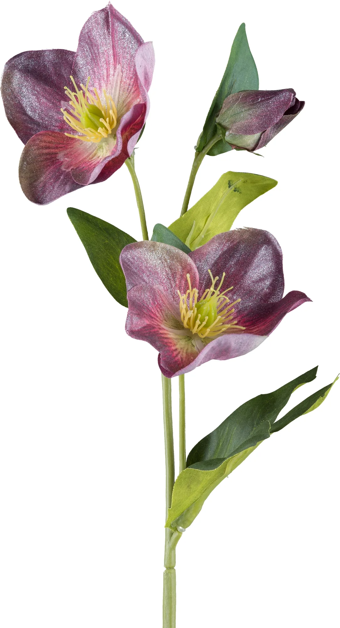 Gasper Kunstblumen Christrose Geeist, Amethyst | Schubiger Möbel