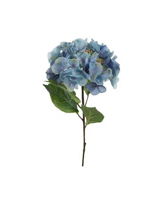 Hortensia snittblomma blå/grön