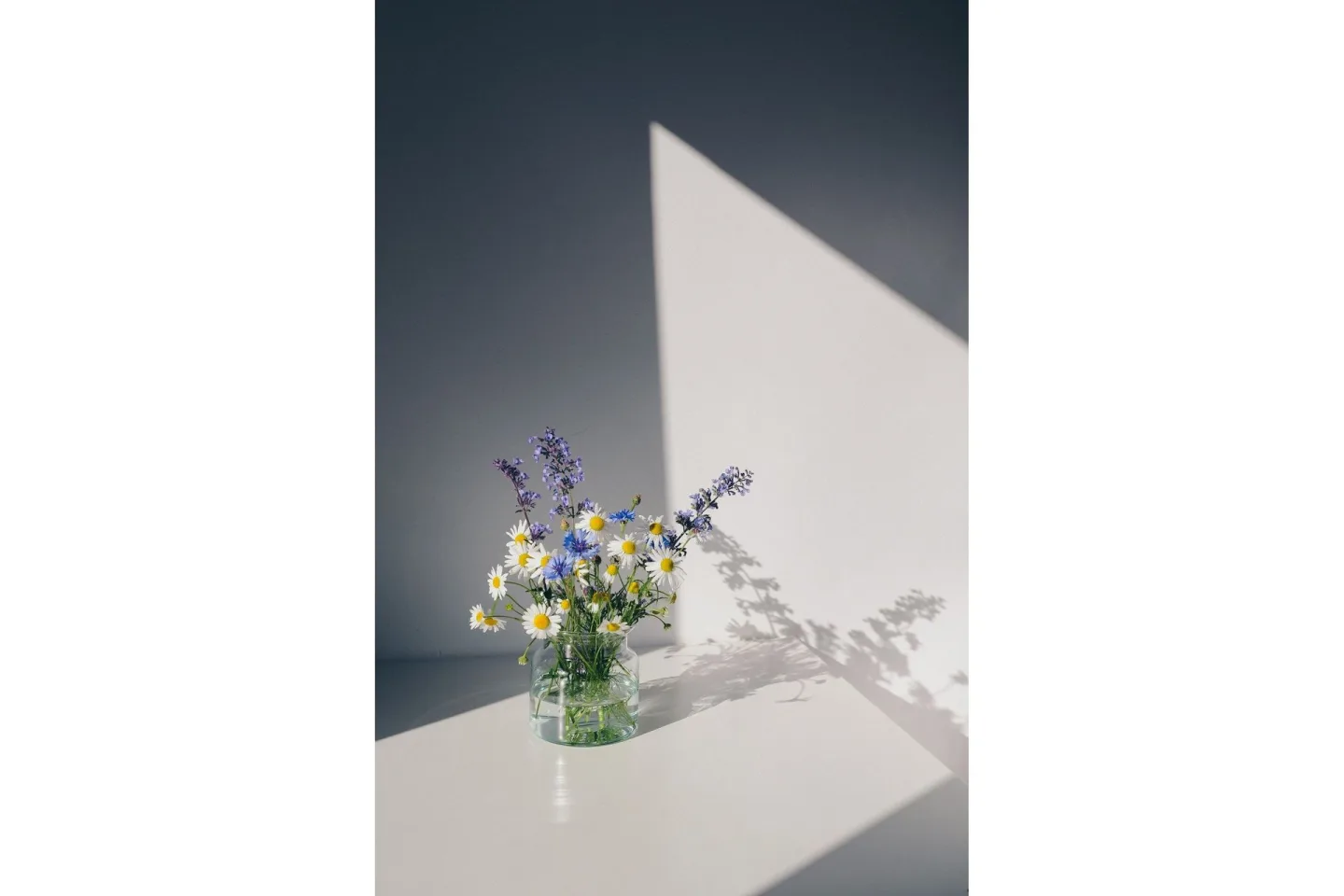 Poster Flowers 70x100 cm - Vit