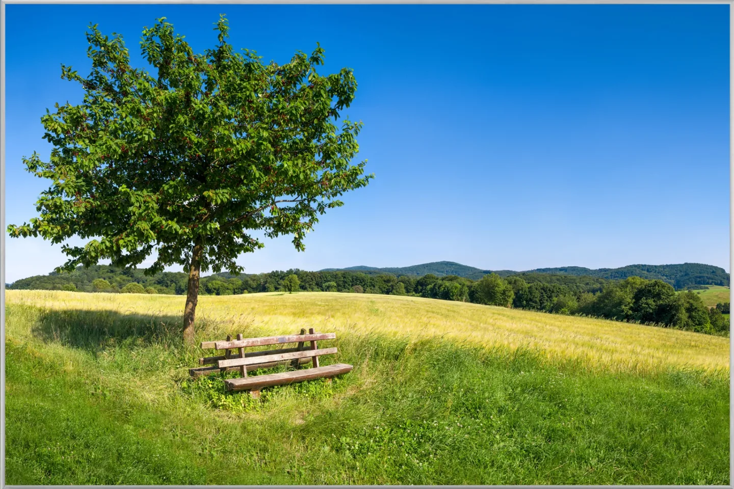 image LAND Bild mit Rahmen Baum mit Bank | Schubiger Möbel