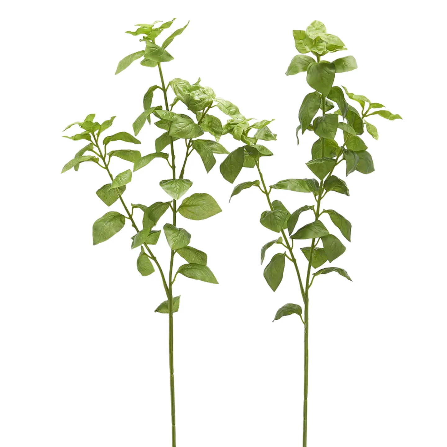Edg Kunstblume Basilikum H: 64 cm | Schubiger Möbel