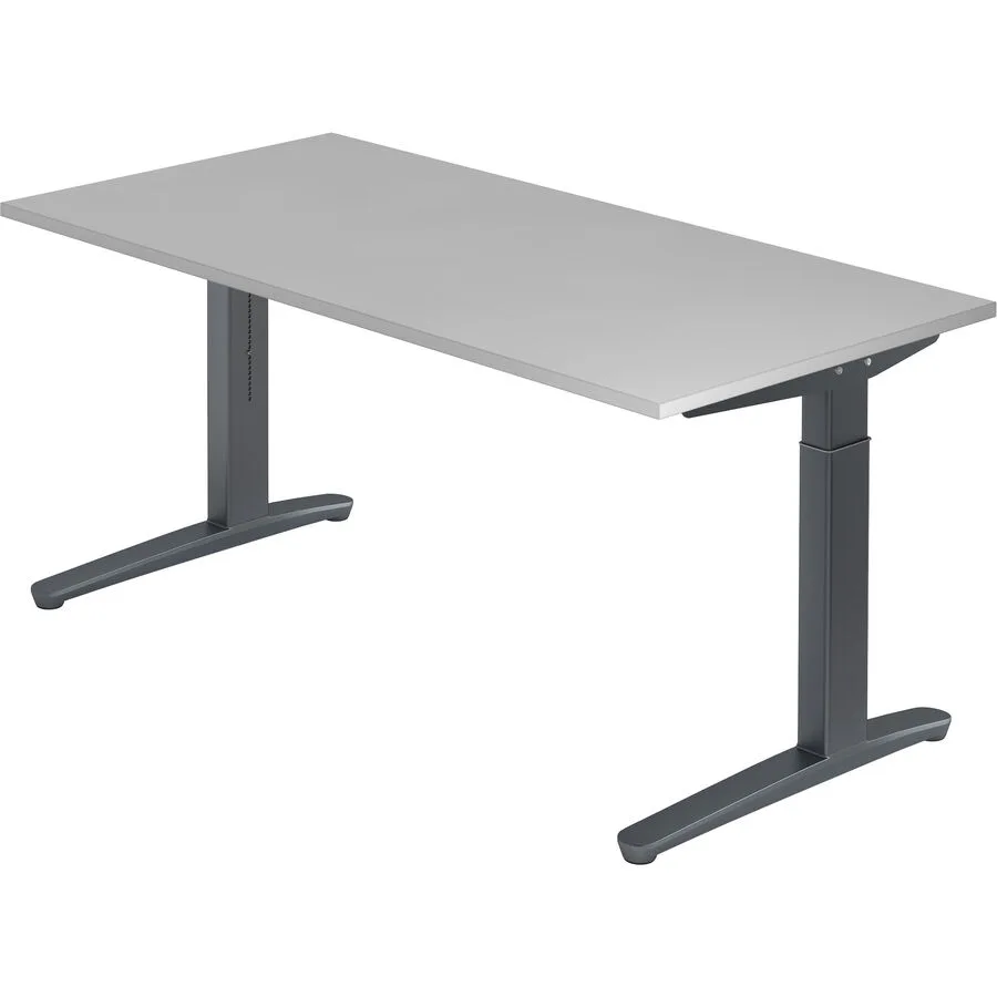 Schreibtisch Office grau Holzwerkstoff B 160 T 80 cm