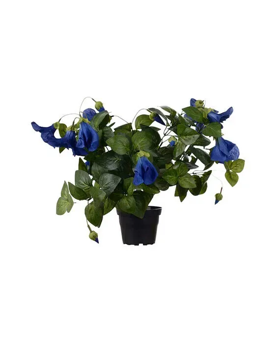 Petunia potteplante blå