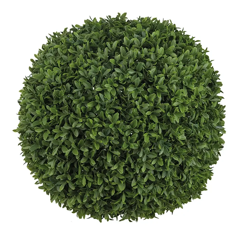 Mr Plant, Buchsbaum Kugel Grün 50 cm