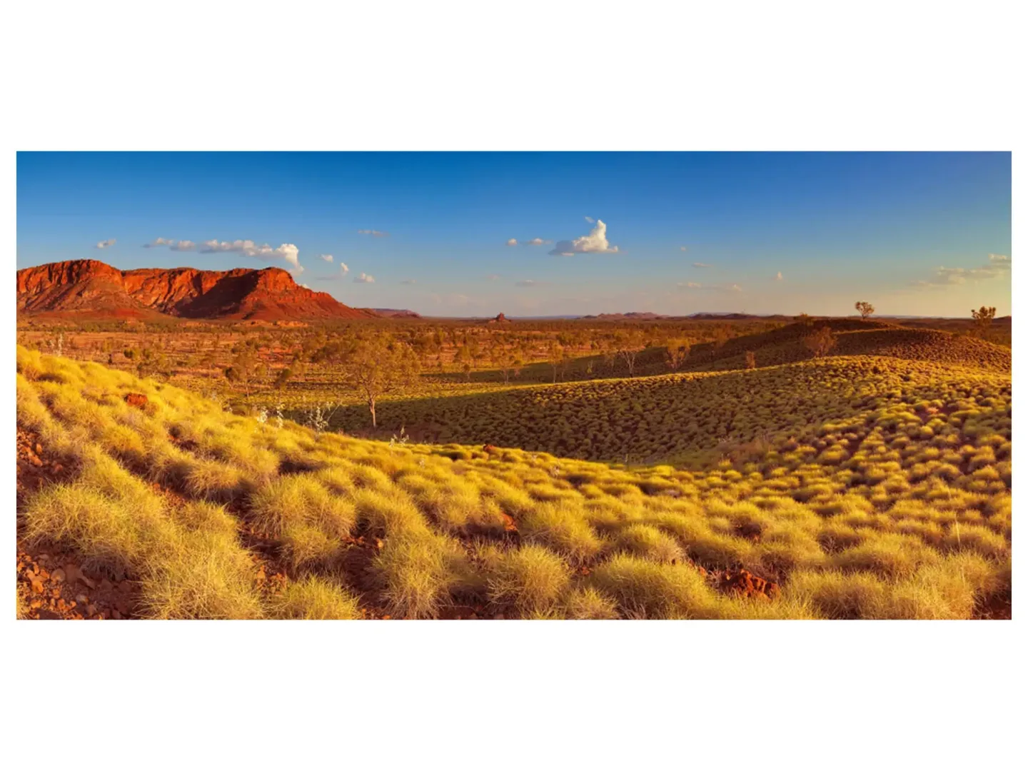 image LAND Digitaldruck auf Acrylglas Arizona | Schubiger Möbel