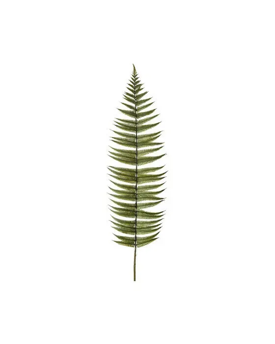 Fern Leaf Green