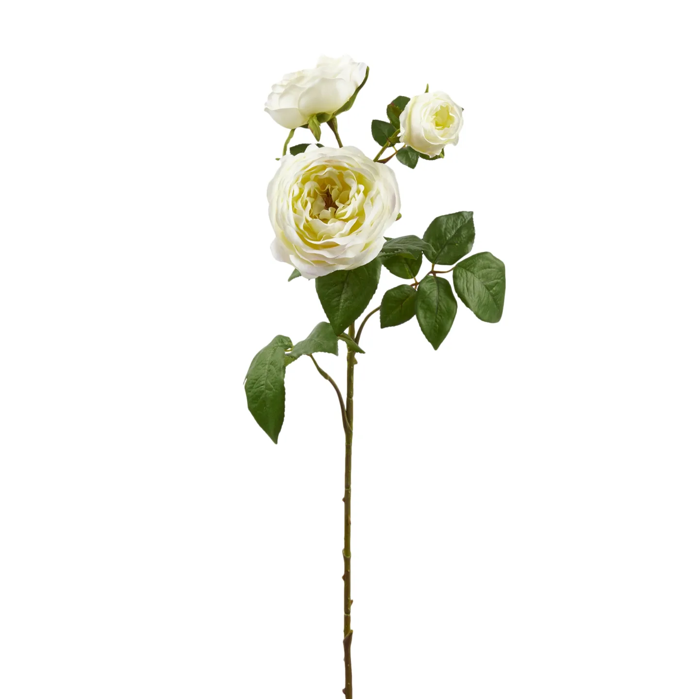 Edg Kunstblume Rose H: 80 cm | Schubiger Möbel