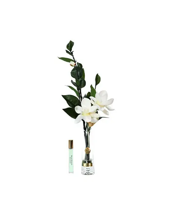 Magnolia d'Été gåvoset