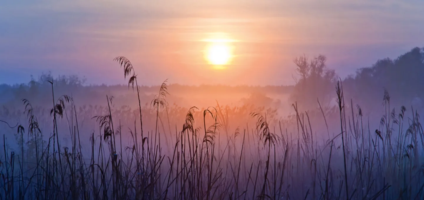 image LAND Alubild Sonnenaufgang im Nebel | Schubiger Möbel