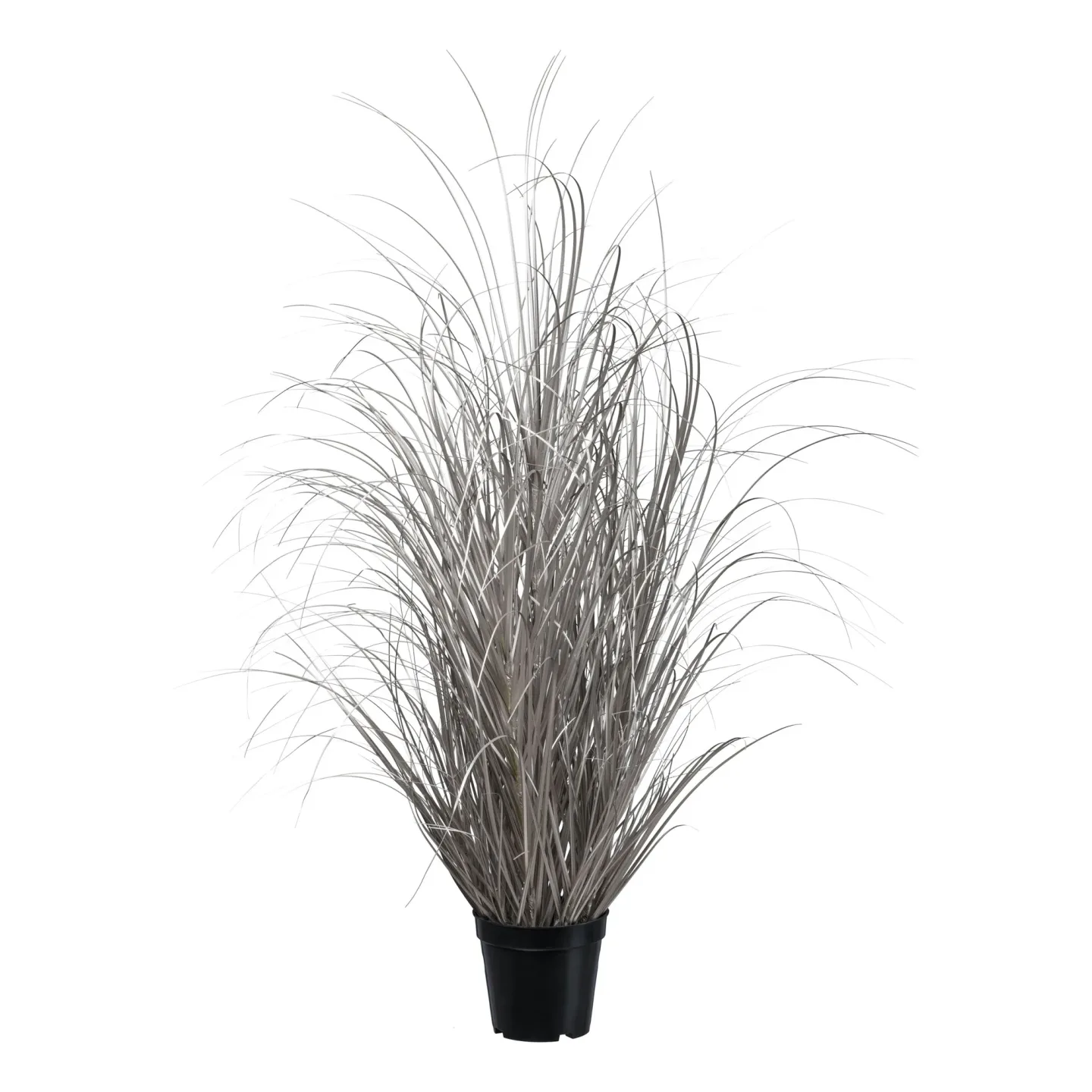 Gasper Kunstpflanzen Gras im Topf, Champagner H: 93 cm | Schubiger Möbel