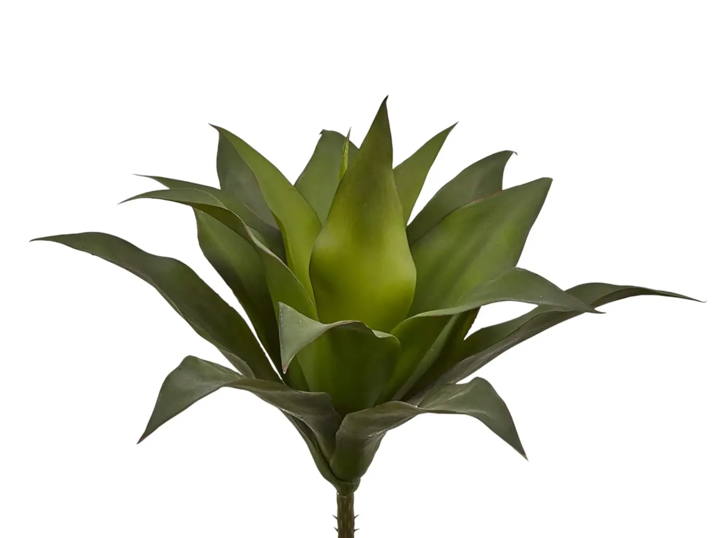Edg Kunstblume Agave Grün H: 28 cm | Schubiger Möbel