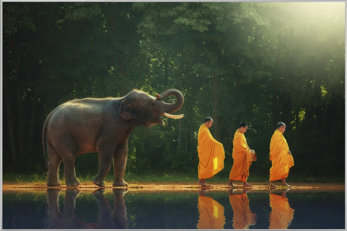 image LAND Bild mit Rahmen Mönchwanderung mit Elefant | Schubiger Möbel