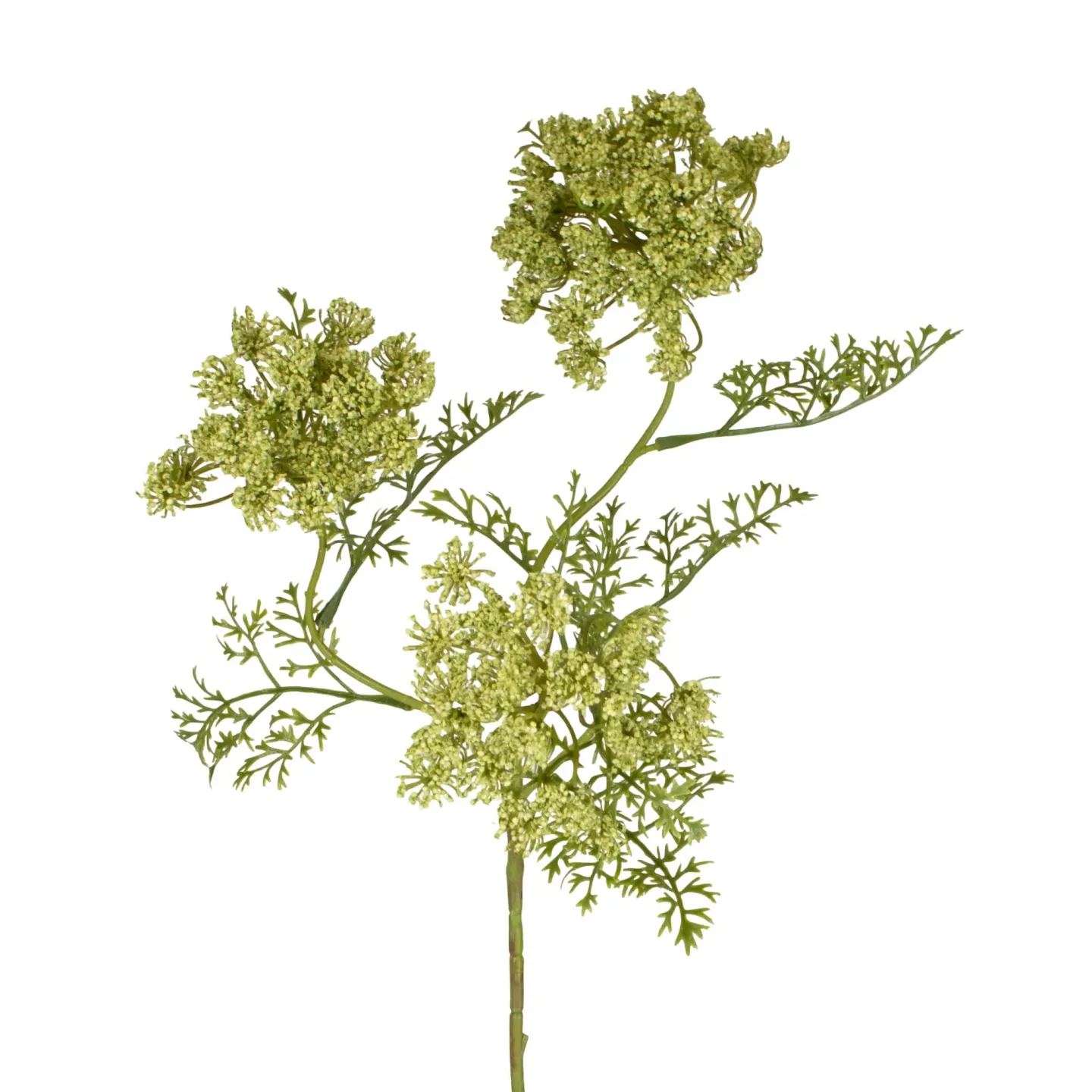 Decofinder Kunstblume Dillzweig Grün H: 75 cm | Schubiger Möbel
