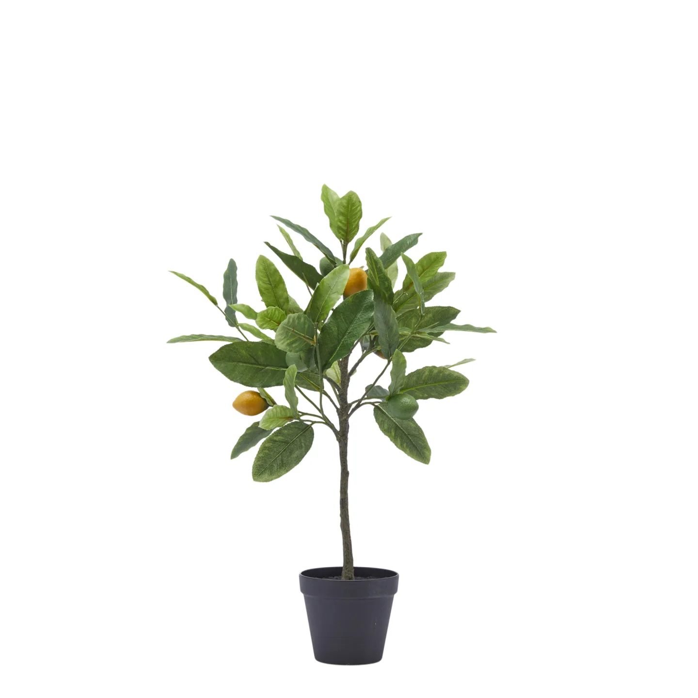Edg Kunstpflanze Zitronenbaum H: 56 cm | Schubiger Möbel