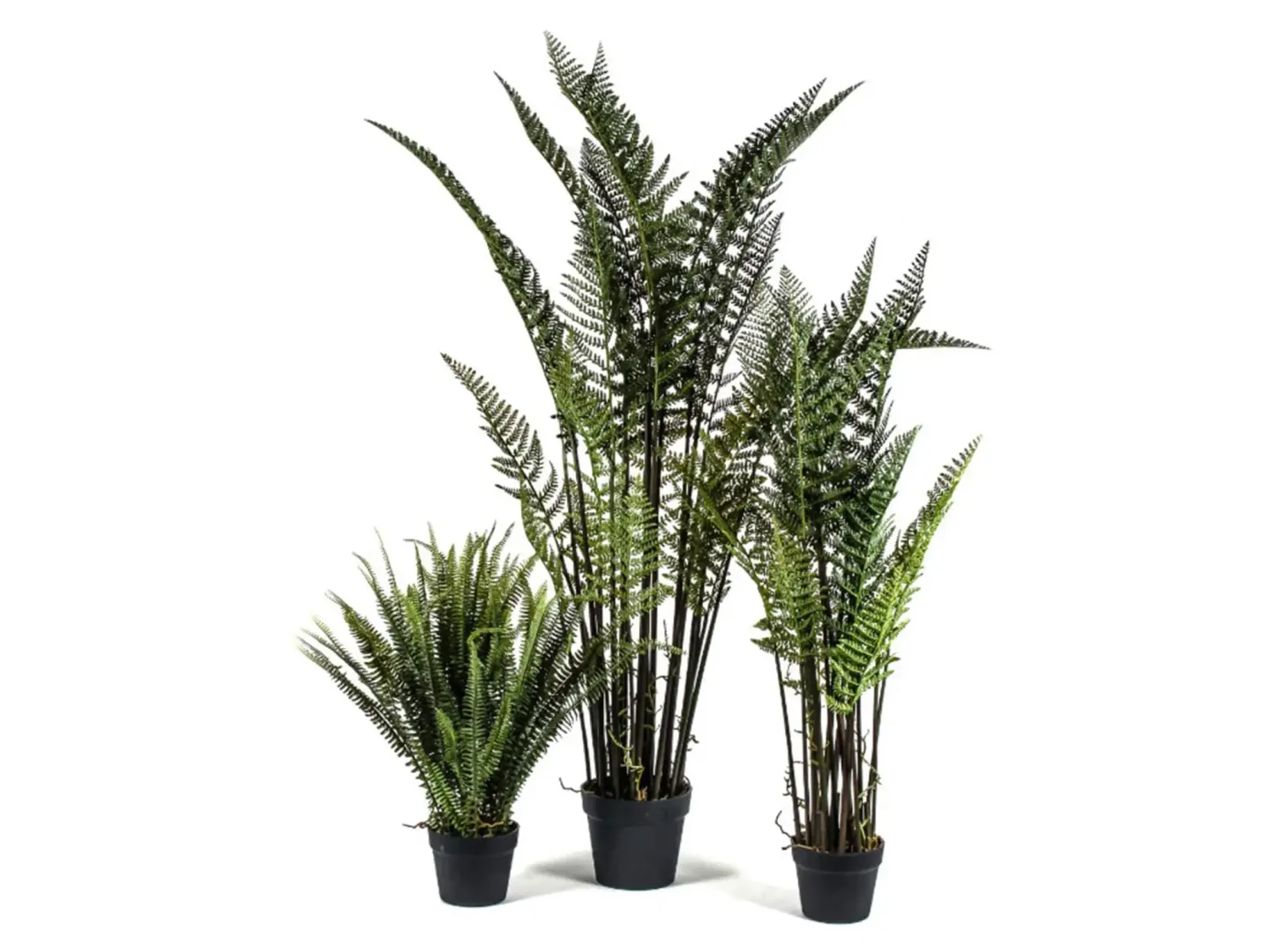 Decofinder Kunstpflanzen Lederfarn H: 116 cm | Schubiger Möbel