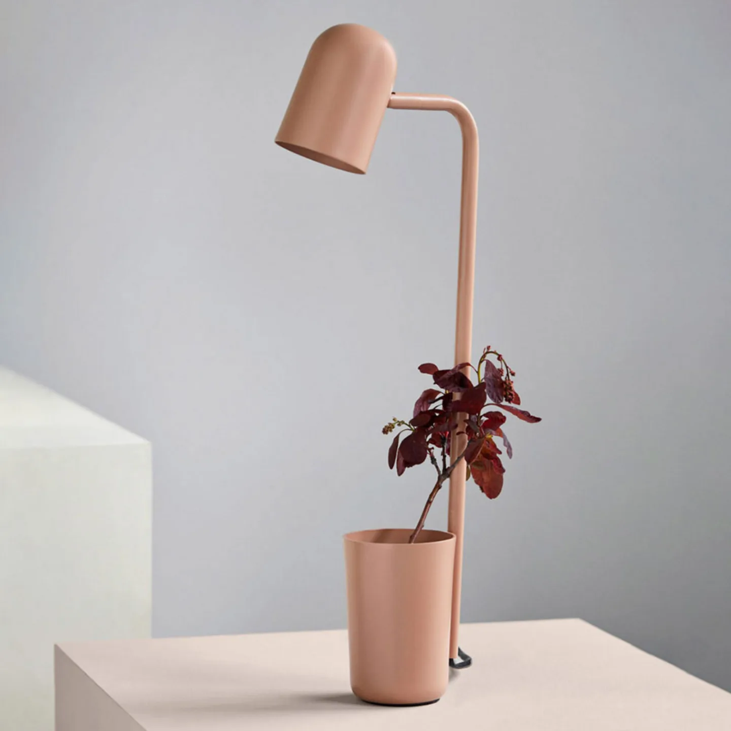 Northern Buddy Schreibtischleuchte Warm beige
