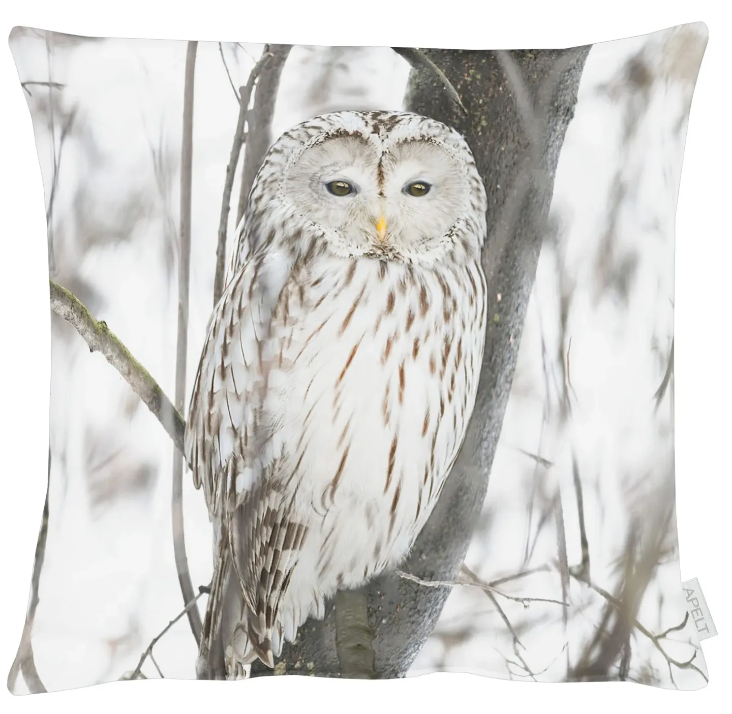 Apelt Kissenhülle Schneeeule 45x45 cm | Schubiger Möbel