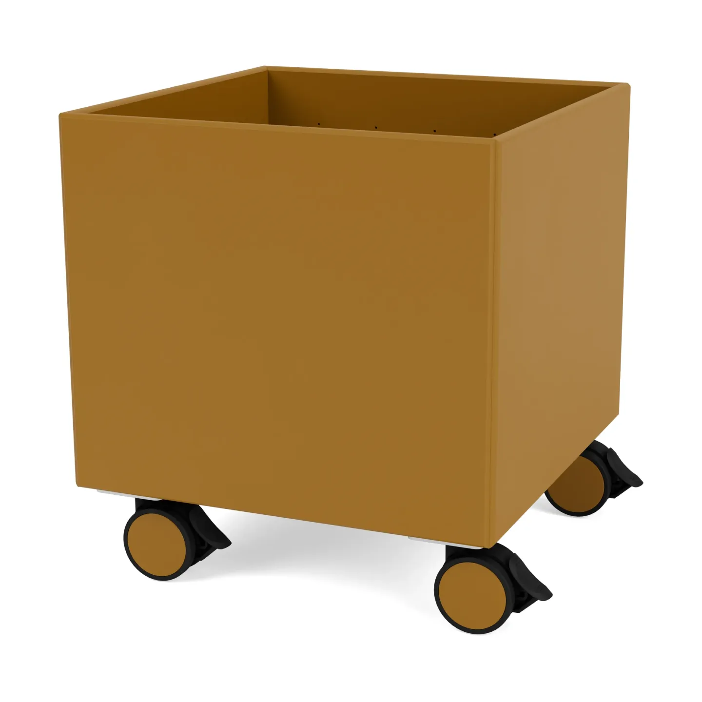 Montana Colour Box I – S6161 Amber