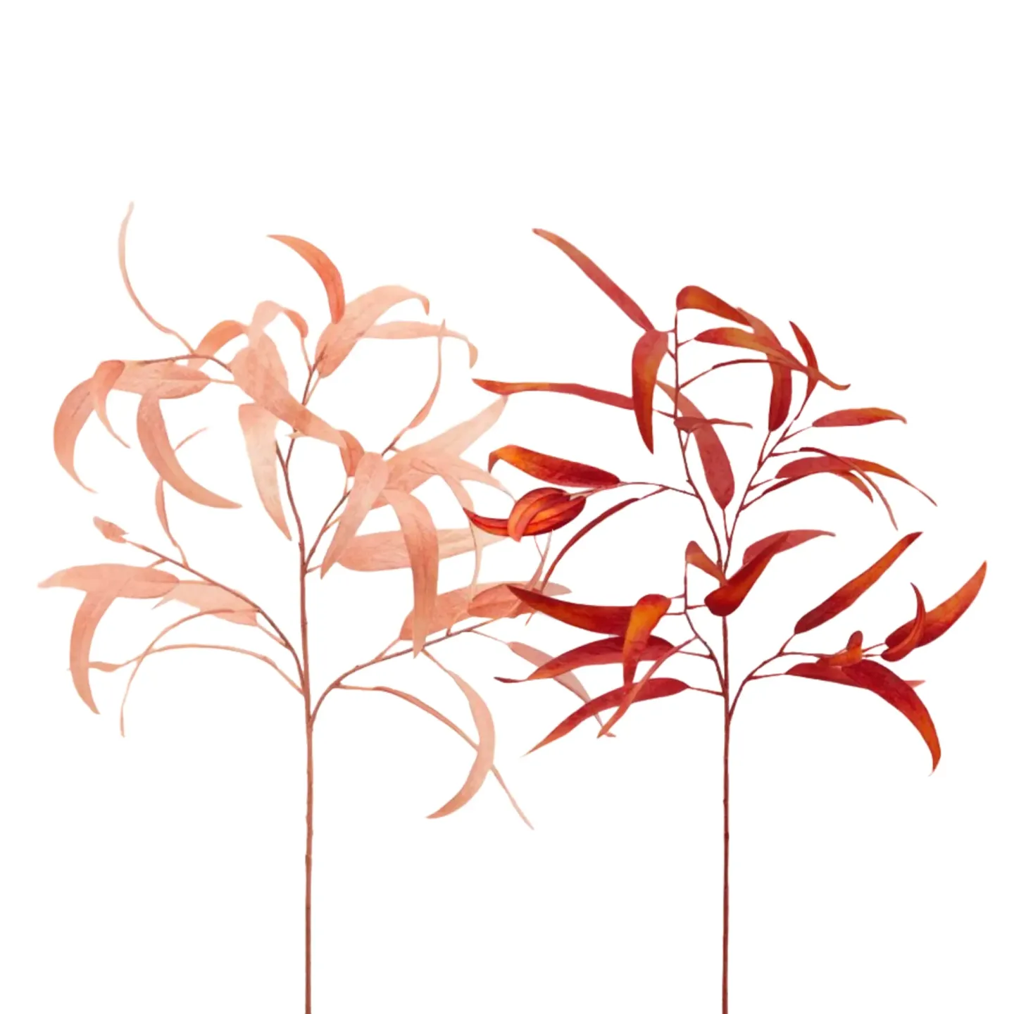 Edg Kunstblume Eucalypthus Apricot-Rost H: 65 cm | Schubiger Möbel