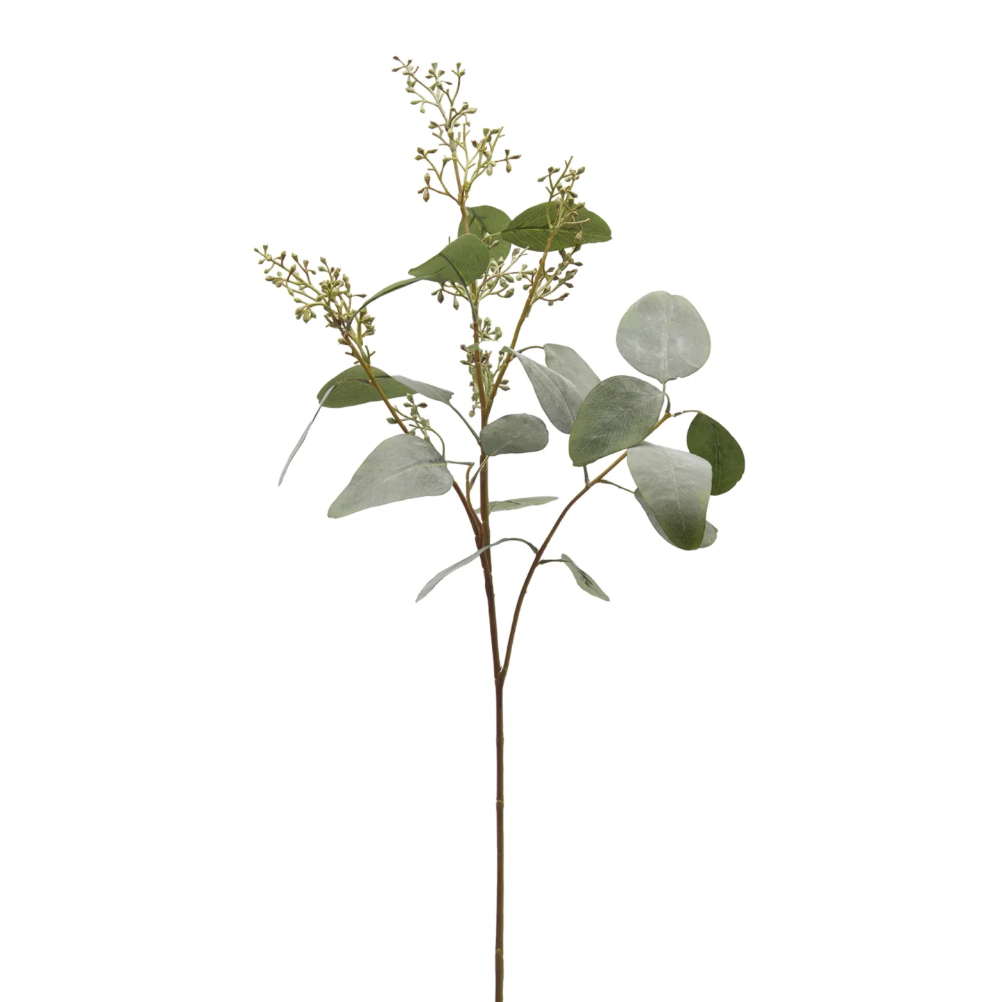 Edg Kunstblume Eucalyptus H: 97 cm | Schubiger Möbel