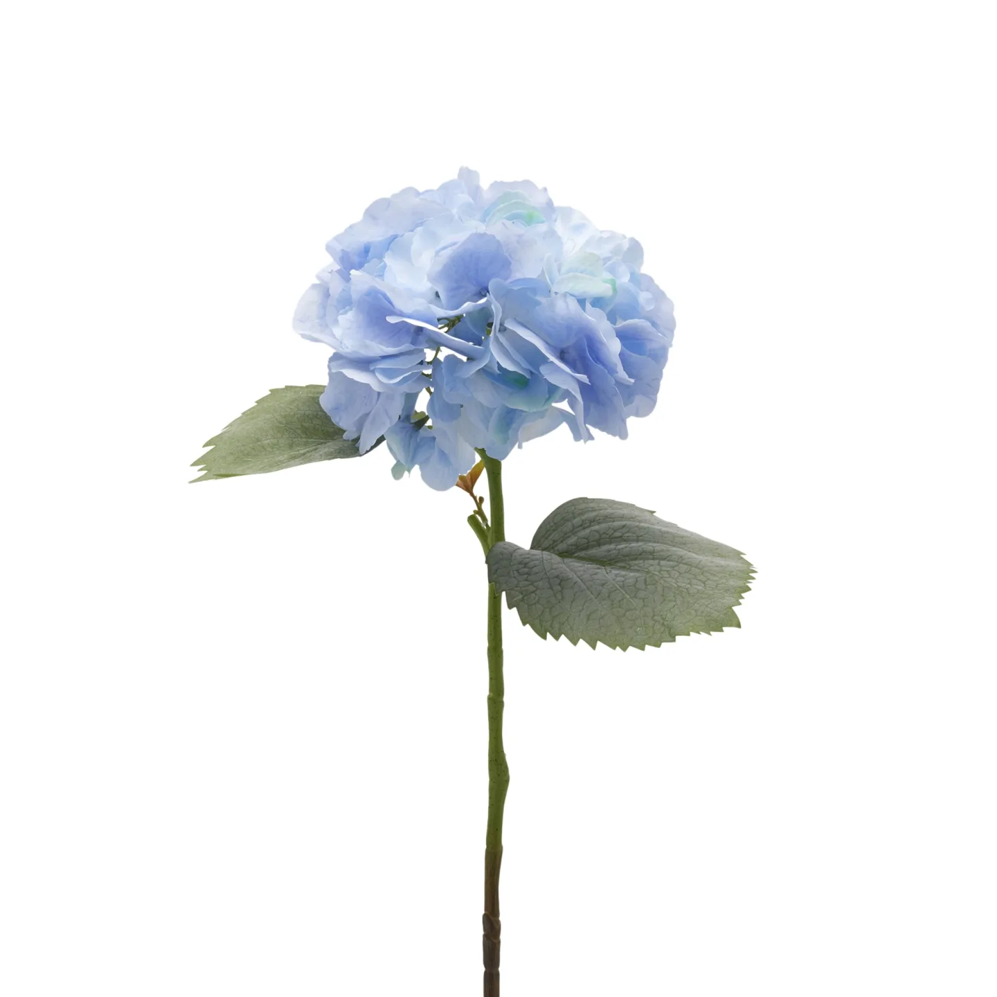 Edg Kunstblume Hortensie H: 66 cm | Schubiger Möbel