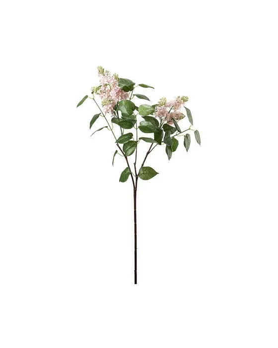 Syrénkvist snittblomma rosa