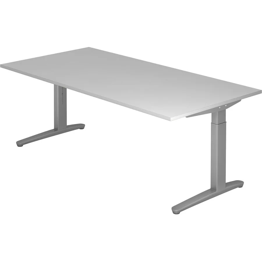 Schreibtisch Office grau Holzwerkstoff B 200 T 100 cm