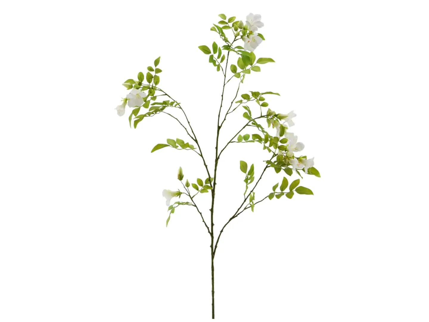 Edg Kunstblumen Glockenblume Weiss H: 120 cm | Schubiger Möbel