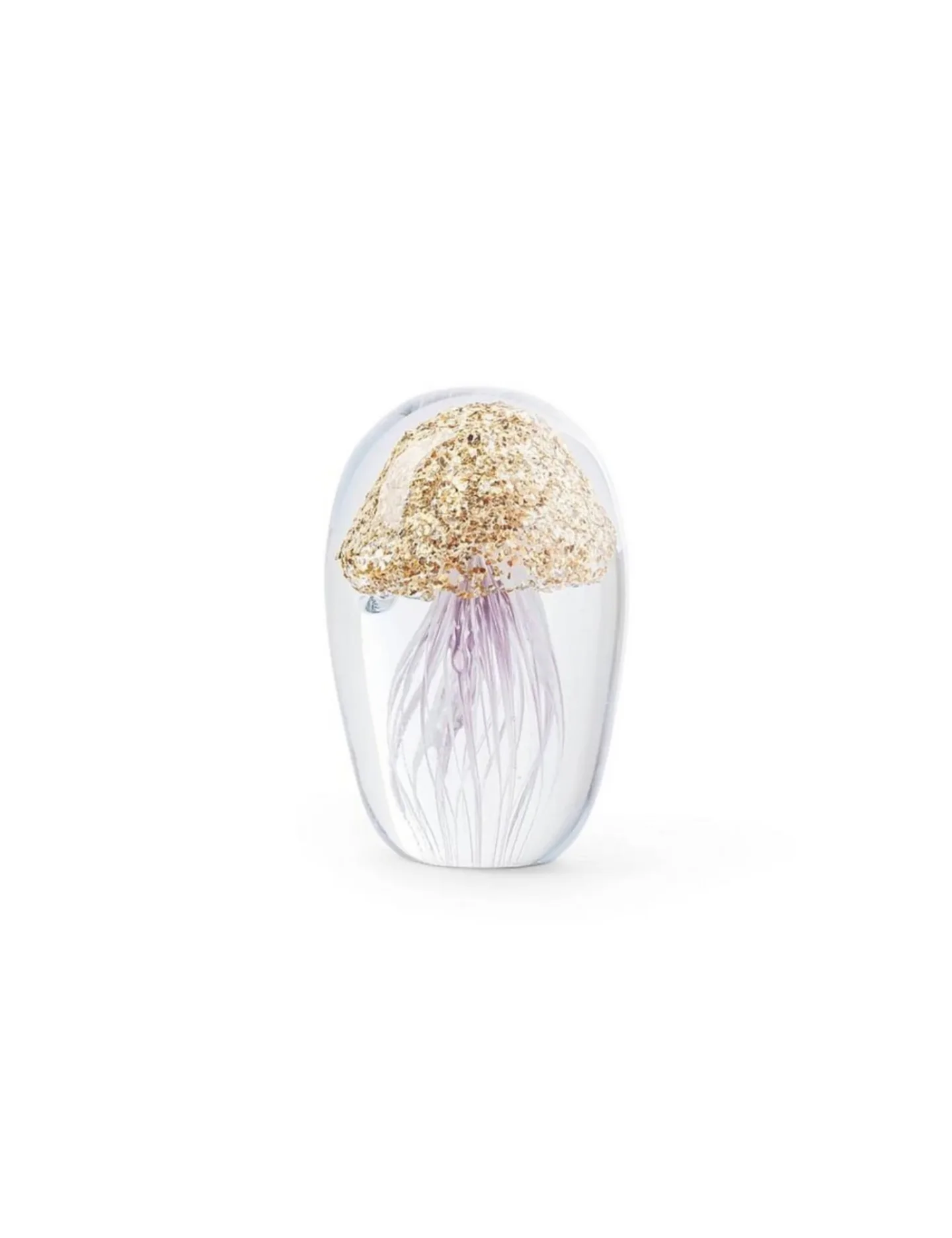 Abhika Briefbeschwerer Jellyfish in Glas Gold H: 10 cm | Schubiger Möbel