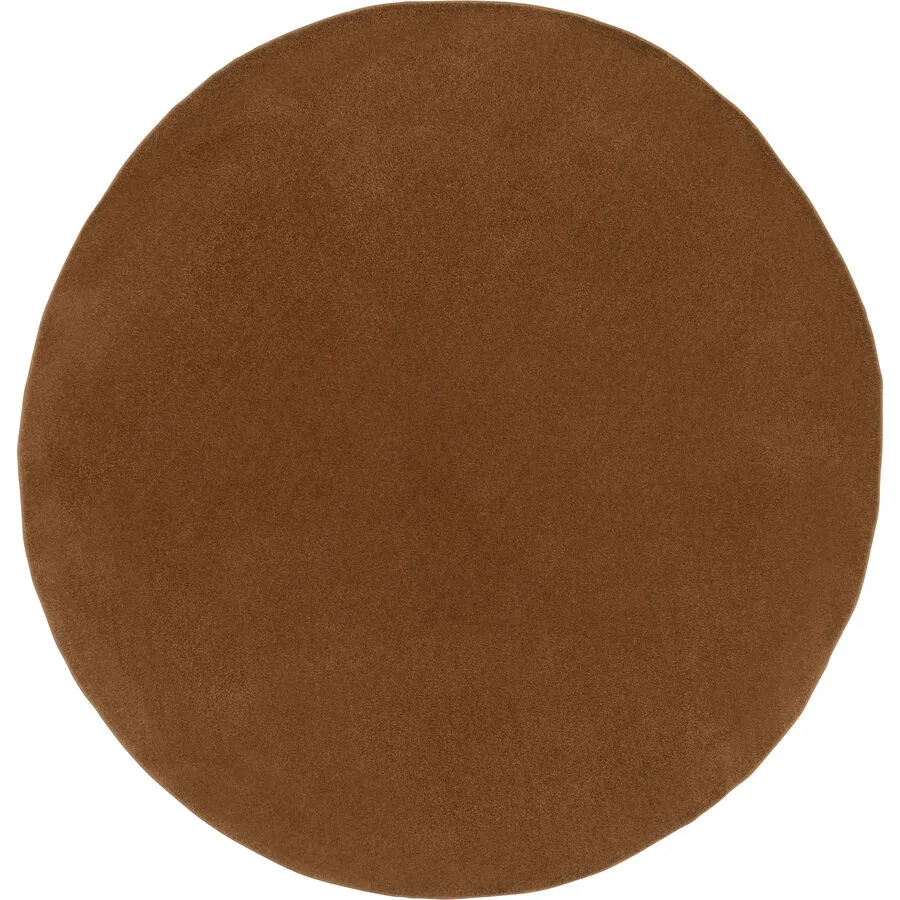 Teppich Synthetisch Bienna Braun Polyester 290 cm 300 cm