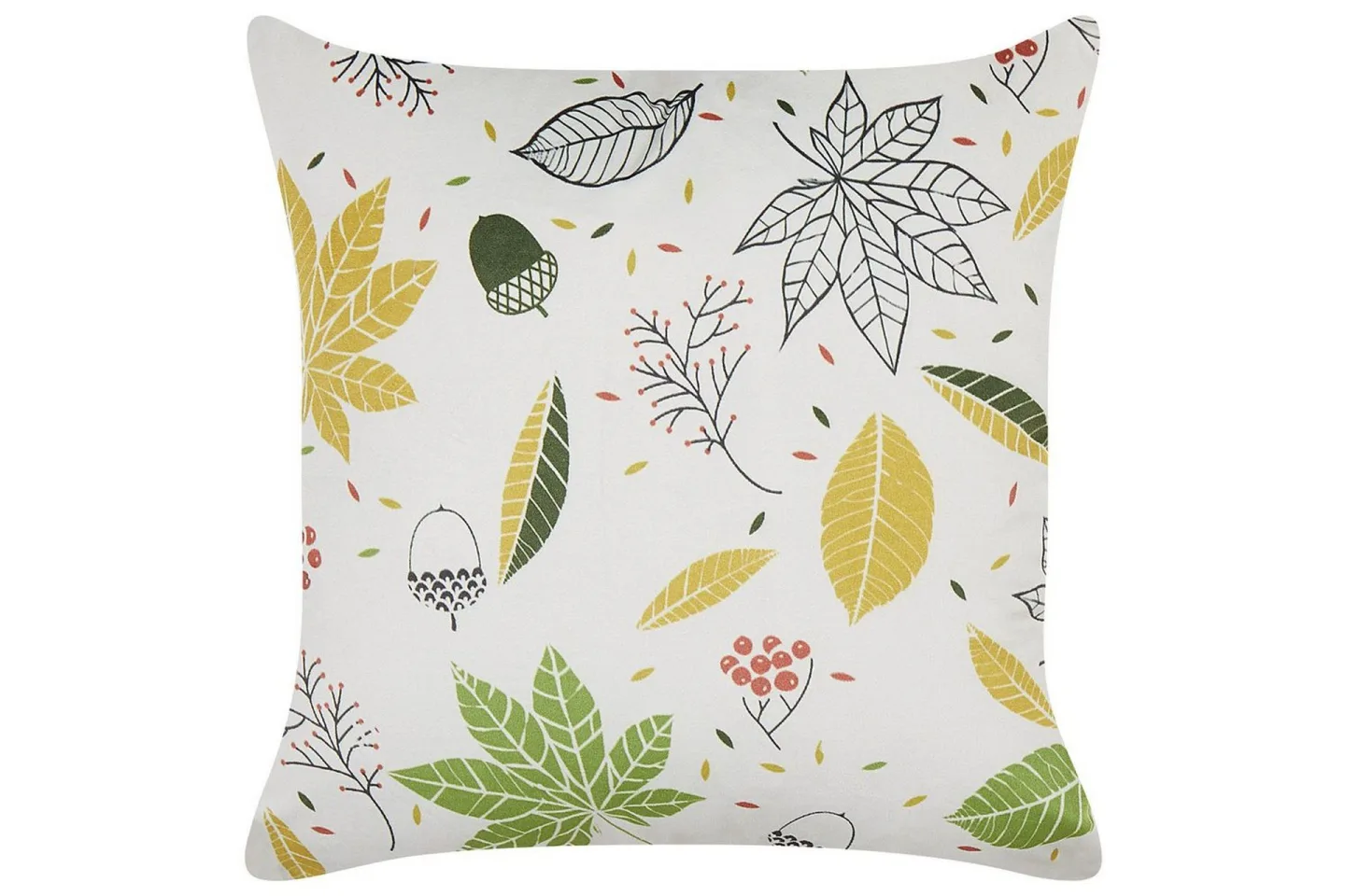 Prydnadskuddar Mullein -
