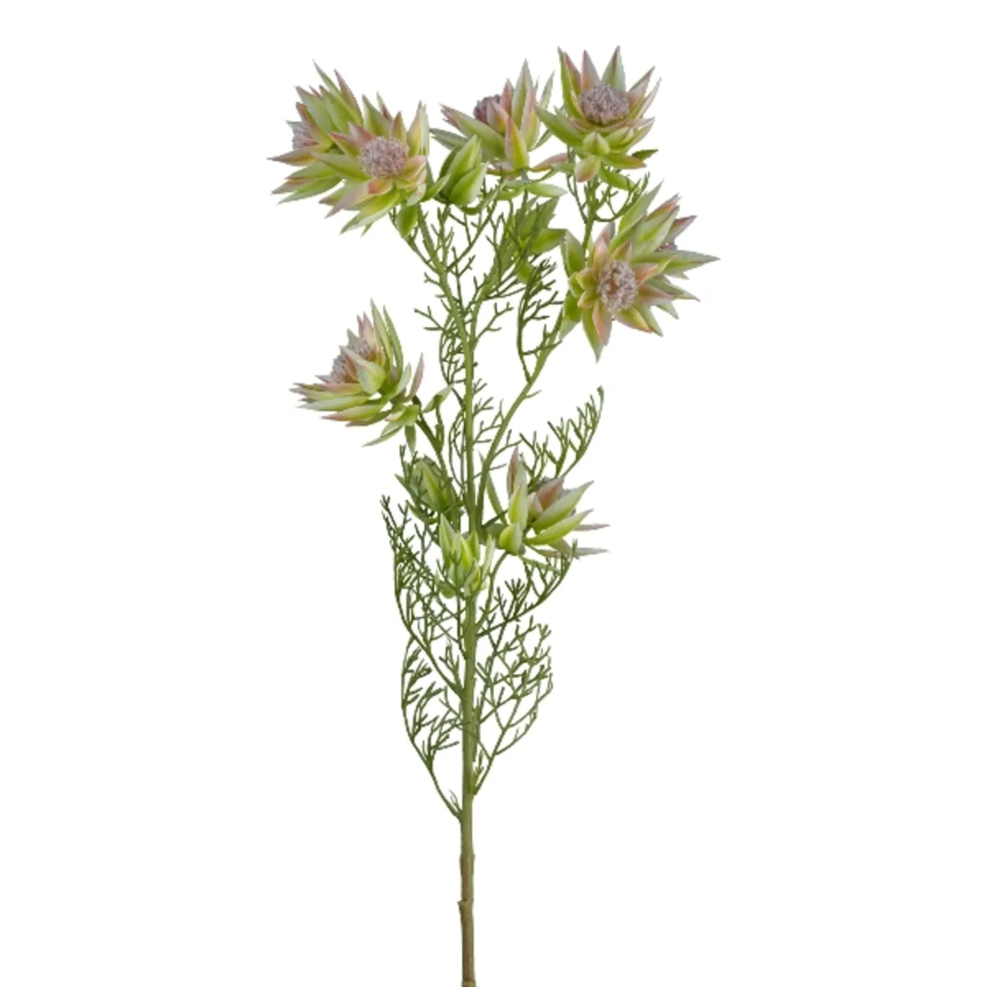 Gasper Kunstblume Proteazweig, Grün H: 78 cm | Schubiger Möbel