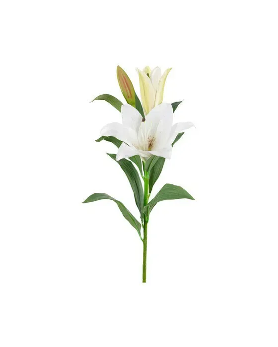 Lilje afskåret blomst hvid