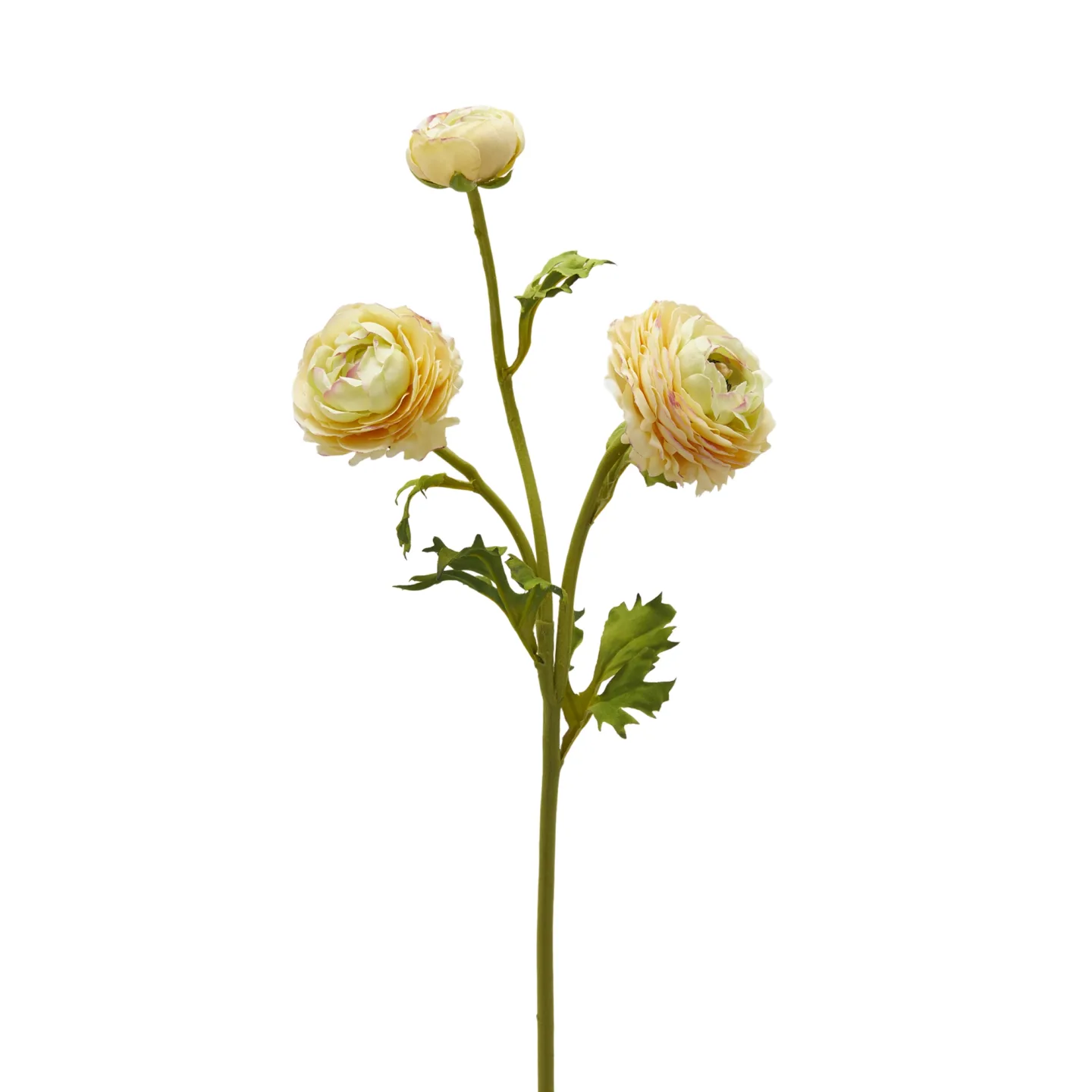 Edg Kunstblume Ranunkel H: 60 cm | Schubiger Möbel