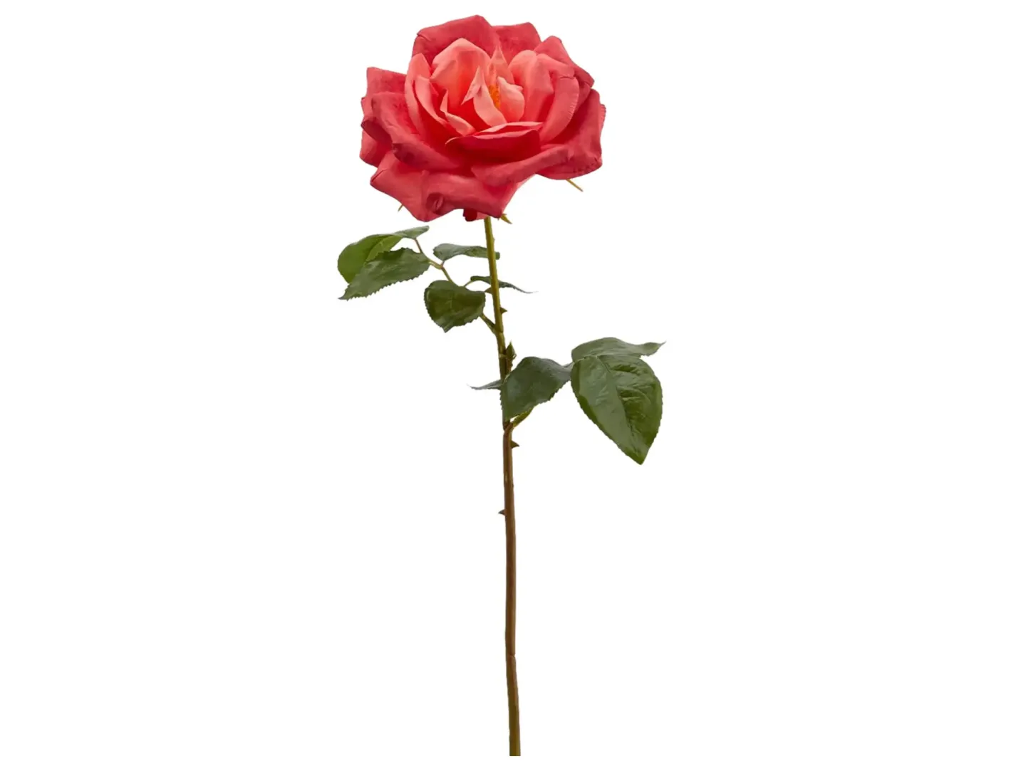 Edg Kunstblumen Rose Dunkelrot H: 56 cm | Schubiger Möbel