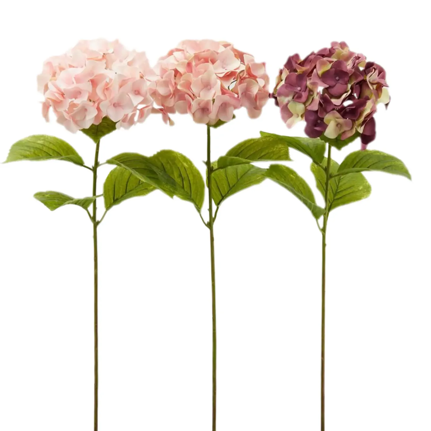 Edg Kunstblume Hortensien Ass. Rosa H: 76 cm | Schubiger Möbel