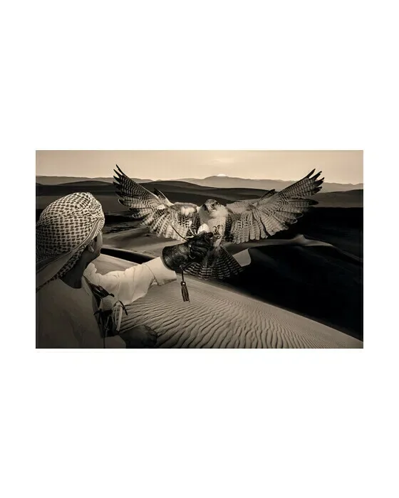 Arabian Hunt